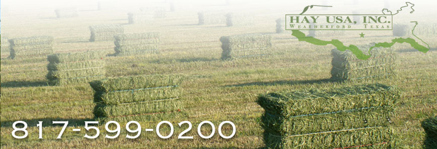Bales of  premium horse hay from the West coast. California Alfalfa, California Bermuda, Washington Timothy and California Straw